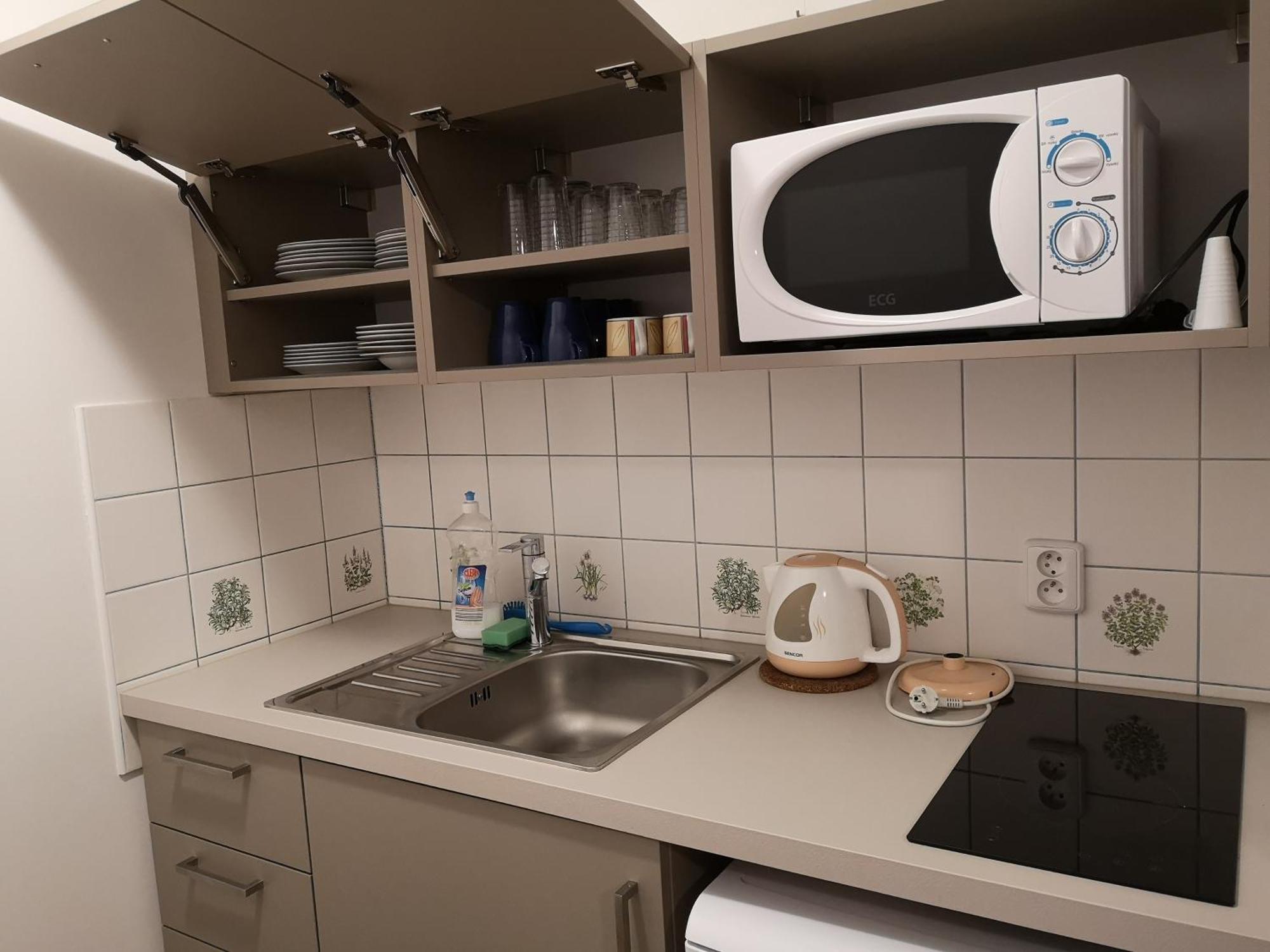 Penzion U Nasich Mladé Buky Room photo